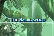Salikawood